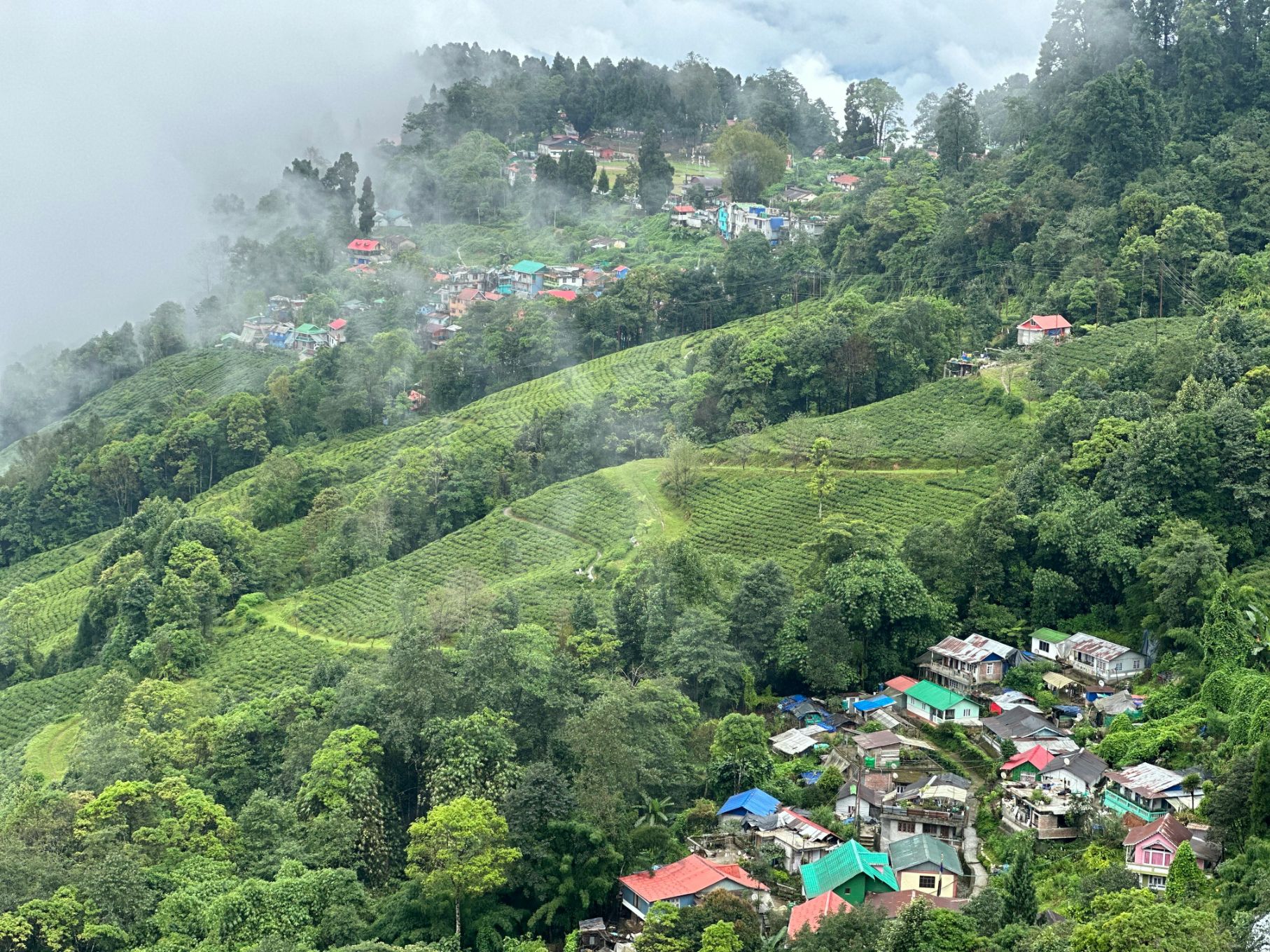 Tea Gardens. Mountain Views. The Hills Together.