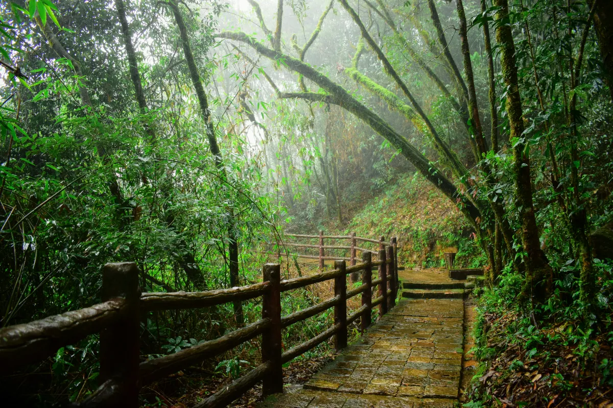 Meghalaya Gallery Image 1