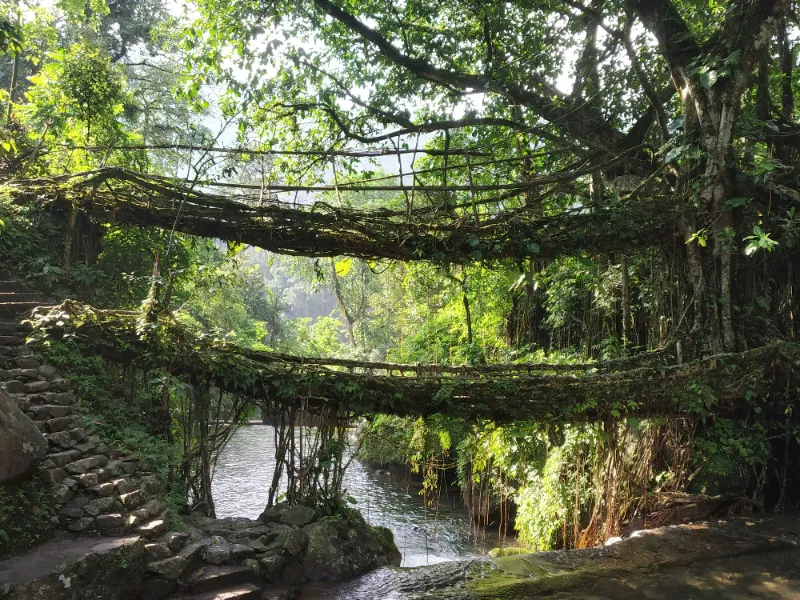 Meghalaya Gallery Image 5