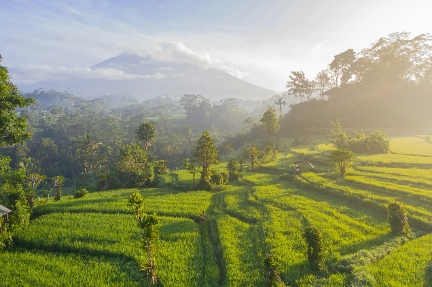 Bali Gallery Image 2