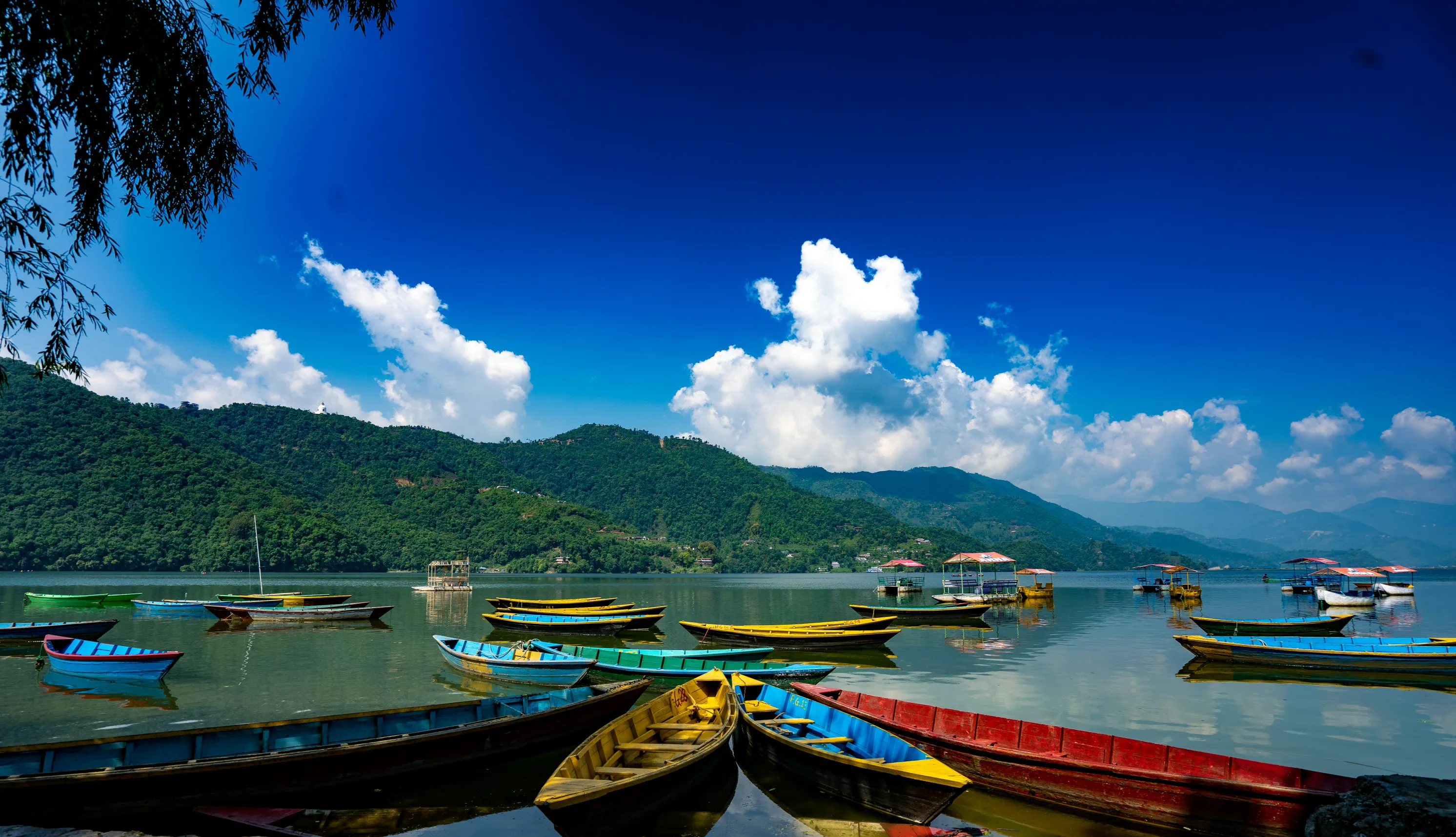 Nepal Gallery Image 4