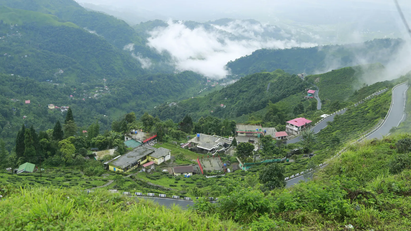 Darjeeling Gallery Image 4