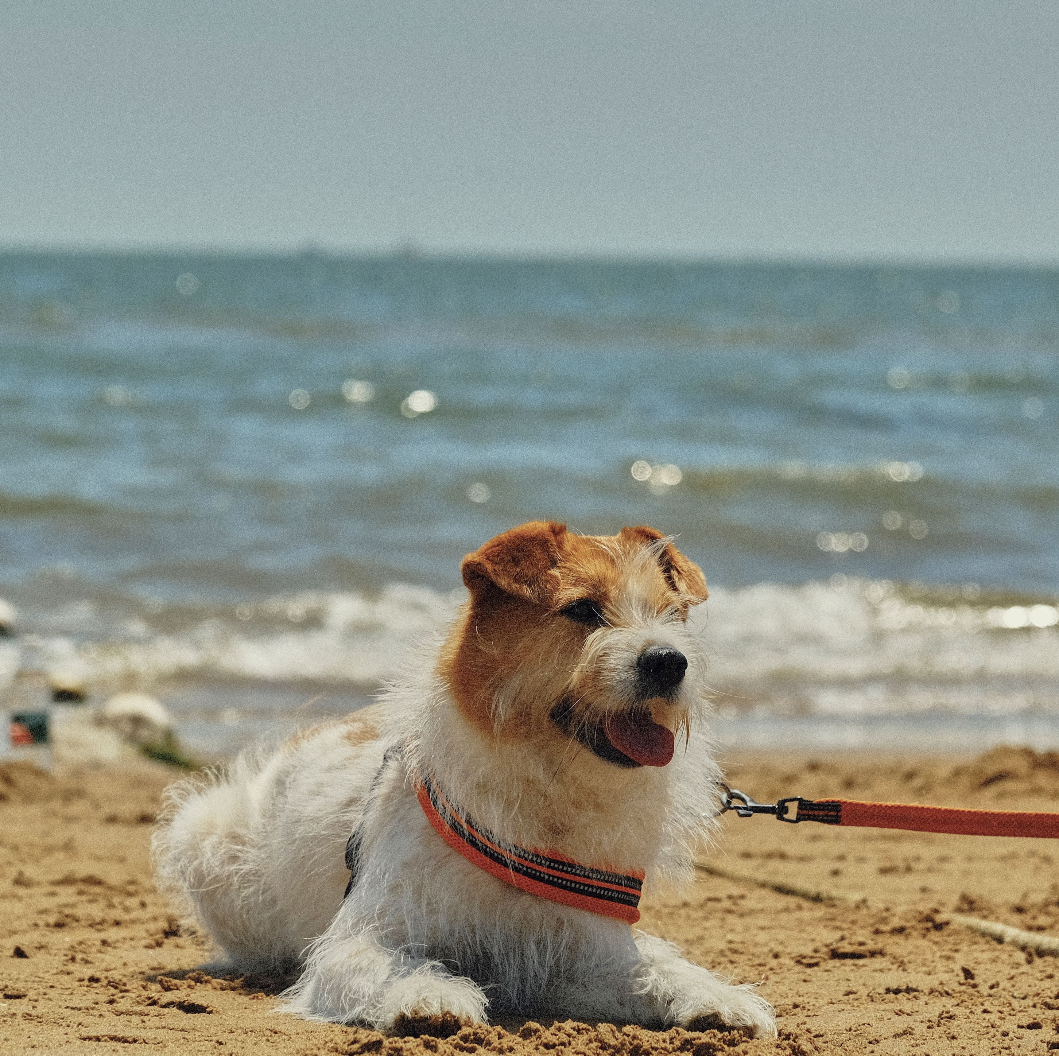 Long Beaches. Coastal Drives. Easy Days Together.